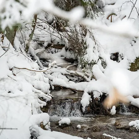 Апартаменты Malino